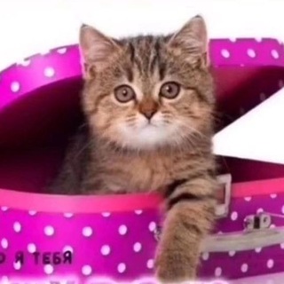 Логотип телеграм канала @prazdnikii_segodnia — Праздники