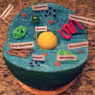 Логотип телеграм канала @pre_7_biology — Pre 7 | Biology