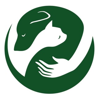 Логотип телеграм канала @predannoeserdce — Преданное сердце 💞 Гродно