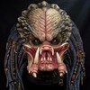 Логотип телеграм канала @predator_tvshow — Хищник