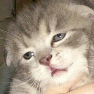 Логотип телеграм канала @predprimematel — Предпримематель