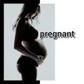 Logo saluran telegram pregnant5 — حامله | 𝙥𝙧𝙚𝙜𝙣𝙖𝙣𝙩