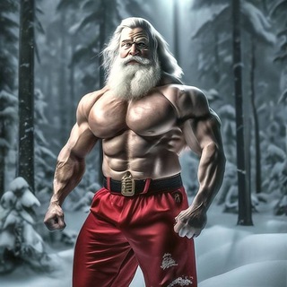 Telegram channel Санта Клаус | Розыгрыши со всего Тг | Prem logo