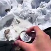 Логотип телеграм канала @prepepr — Brian's News