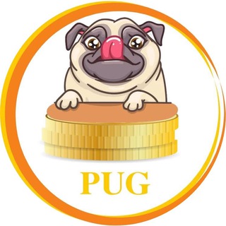 Logo of telegram channel presale_channel — PUG DOGE