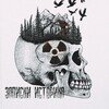 Логотип телеграм канала @pressf_ist1o — Записки Историка