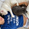 Логотип телеграм канала @prettycats_wb — . ゚ ⋆Kitten’s WB 🫐 ִֶָ ||
