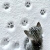 Telegram channel 𝖯𝖱 | чᴀᴛы | ᴋᴀнᴀᴧы logo