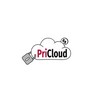 Логотип телеграм канала @pri_cloud — PRICLOUD LOGS | TXT