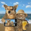 Логотип телеграм канала @pricolistki — Приколистки