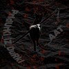 Логотип телеграм канала @pridurki_iz_durki — PrIdUrKi_iZ_DuRkI