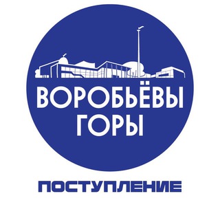 Logo saluran telegram priem_vg — Поступление в лицей «Воробьевы горы»