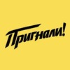Логотип телеграм канала @prignali_ru — Пригнали! — Авто из 🇩🇪