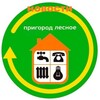 Логотип телеграм канала @prigorod_lesnoe_news — 🌲Пригород Лесное🌲_Новости📰