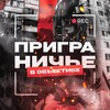 Логотип телеграм канала @prigran_rec — Приграничье в объективе