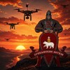 Логотип телеграм канала @prikamskie — Прикамские витязи