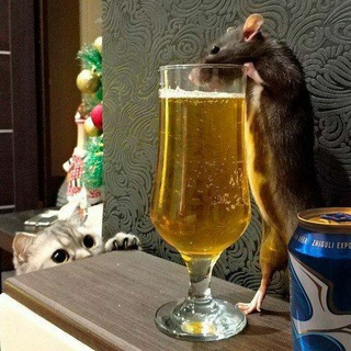 Логотип телеграм канала @prikoldeski — Тебе покажу 💔