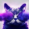 Логотип телеграм канала @prikoly_mems — Пурпурный юмор // Мемы, приколы, юмор
