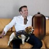Логотип телеграм канала @prikolysineta — КАК ВЫЖИТЬ