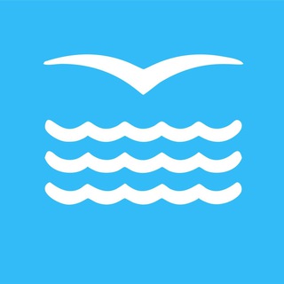 Логотип телеграм канала @prim_spb — Администрация Приморского района Санкт-Петербурга 🔹