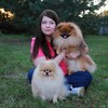 Логотип телеграм канала @prima_stella_poms — Питомник шпицев “Prima Stella”. Щенки, консультации, уход.