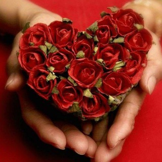 Логотип телеграм канала @primakova8 — Видео Открытки на каждый день💐 Праздники ❤️ Музыка 🎶