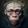 Логотип телеграм канала @primatniy — Приматный канал