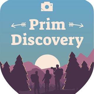 Logo of telegram channel primdiscovery — PrimDiscovery