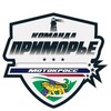Логотип телеграм канала @primoryeteam — ПРИМОРЬЕ team