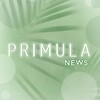 Логотип телеграм канала @primulanews — Primula News