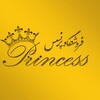 Telegram channel Princess shop logo