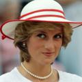 Logo saluran telegram princessdianaofwales — Princess Diana