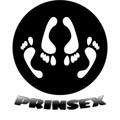 Logo saluran telegram prinsex_ch — Prinsex Life 🫦