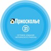 Логотип телеграм канала @prioskolje31 — «Приосколье 31»