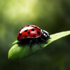 Логотип телеграм канала @priroda_facts — Живой мир🐞