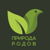 Логотип телеграм канала @prirodarod — 🌱 ПРИРОДА РОДОВ