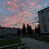 Логотип телеграм канала @prisnavashkisheksna — признавашки Шексна