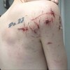 Логотип телеграм канала @prisssttt — приступ интроверта