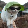 Логотип телеграм канала @pritful_tg — ПРИТЬФУЛЬ МЫСЛИТ АХАХААХАХ
