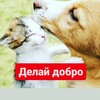Логотип телеграм канала @priut_rich64 — Приют РИЧ "Ценный"🫶