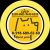 Логотип телеграм канала @priut_yeisk — Приют Ейск