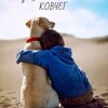 Логотип телеграм канала @priutkovcheg — Приют Ковчег