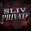 Логотип телеграм канала @private1000000 — Sliv Private's🩵