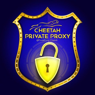 لوگوی کانال تلگرام privateproxy_cheetah — [ پروکسی‌ شخصی چیتا ]