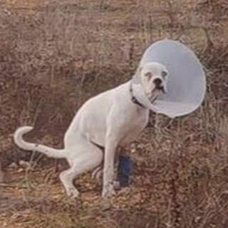 Логотип телеграм канала @privatmeme — private meme channel