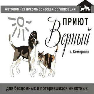 Логотип телеграм канала @priyut42 — Приют для бездомных животных "Верный" г.Кемерово