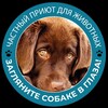 Логотип телеграм канала @priyut_chekhov — priyut_chekhov