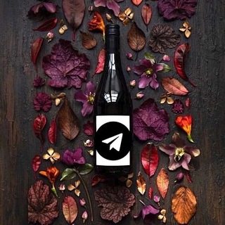 Логотип телеграм канала @pro_sommelier — PRO SOMMELIER.online