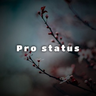 Telegram kanalining logotibi pro_status — Pro Status🍀