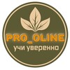 Логотип телеграм канала @pro_0nline — ПРО_онлайн